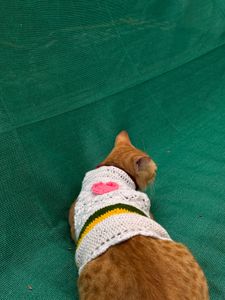 Handmade Crochet top for cat