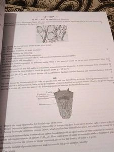 Class 9 CBSE Combined Sample Papers 2026