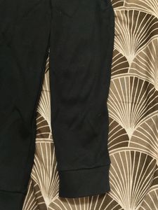 Polo Neck T Shirt