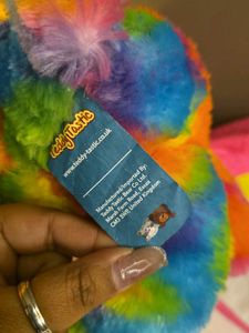 Rainbow Teddy Bear with Carrier