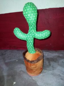 Dancing Cactus