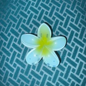 🌸 Combo of 3 Colourful Flower Hair Clips