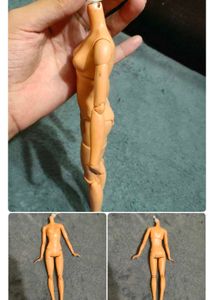 combo of dolls body