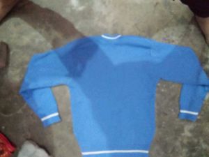 Blue V-Neck School Sweater