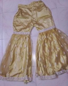 Exquisite Embellished Sharara