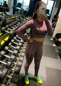 Athletic Seamless Crop Top &amp; Leggings Set
