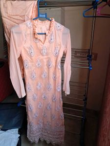 Elegant Peach Embroidered ₹350