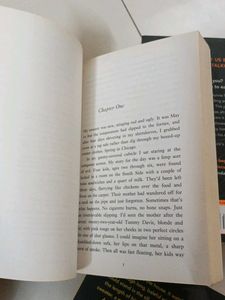 🪶 Gillian Flynn Book Set
