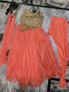 Elegant Peach Lehenga Choli Set
