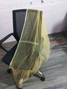 Yellow Embellished Dupatta