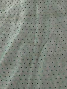 Pastel Green Printed Fancy Saree (Women)