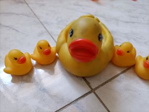 Kids Toy Ducks