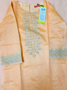 Vishudha Light Peach Kurti (New kurti)