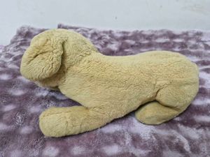 Cute Plush Dog Toy