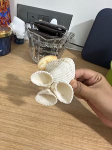 real Seashell Jewelry Organizer tray
