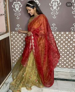Stunning Embroidered Lehenga Choli Set