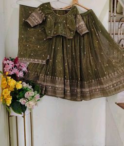 Olive Green Embroidered Lehenga Set