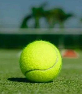 Tennis Cricket Ball, Used