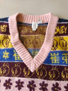 Looney Tunes Knit Vest