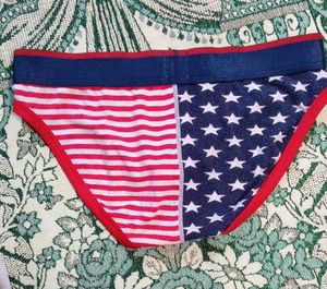 American Flag Print Briefs