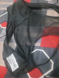 Sheer Mesh Briefs