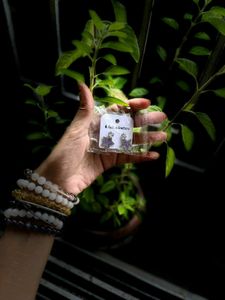 Star Stud Earrings - A Fashion Jewelry