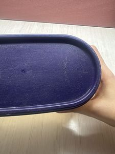 Tupperware Food Container