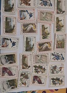 25 Vintage HAITI Bird Stamp Collection