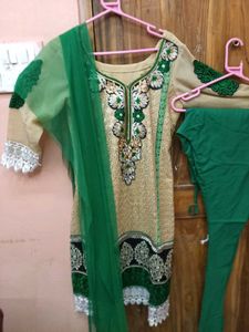 ComboOffer-GentlyUsed Crm&amp;Green+Black&amp;GreenEmbro