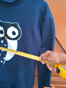 Used Sweatshirt