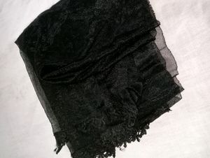 Beautiful Black Net Stall