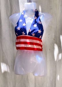 4278. American Flag Bikini Top