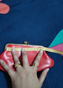 Mini Clutch