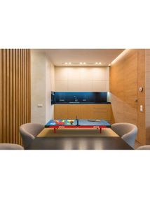 SUPER 4-in-1 Mini Table –Table Tennis, etc