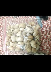 Bulk Seashells for Crafting &amp; Decor
