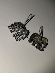 Pack of 5 earrings