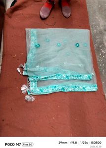 sea green lehenga Net Dupatta