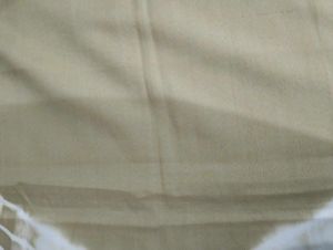 Light Brown Saree