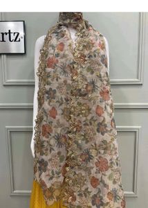 Beautiful Organza Self Design Dupatta(Beige Coour)