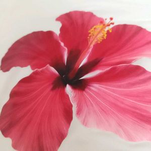 White T-Shirt with Pink Hibiscus Print
