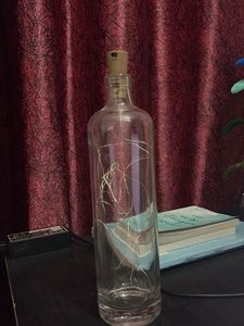 Wine Bottle Fairy Lights Decor