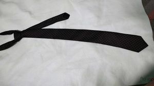 Men's Dotted Necktie