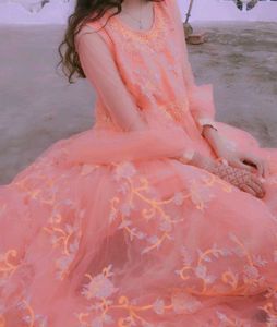 Elegant Orange Embroidered Gown