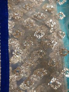 Designer Saree with Embellishments
