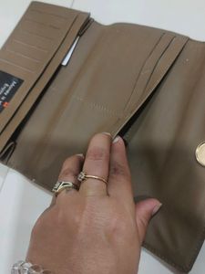 Baggit Wallet
