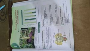 Objective NCERT Biology Book for NEET