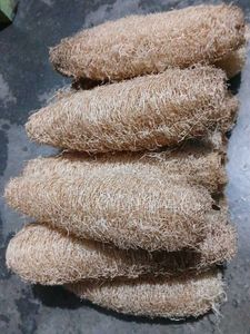 Natural Loofah Sponges