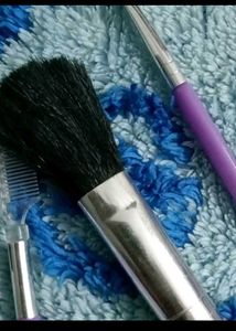 Combo offer  Set Of 4 Brushes + Purse ,+ Top Loose