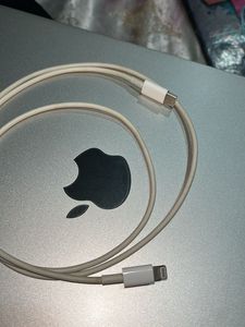 Apple USB-C to Lightning Cable