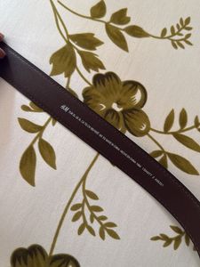H&amp;M Brown Belt with Gold Buckle